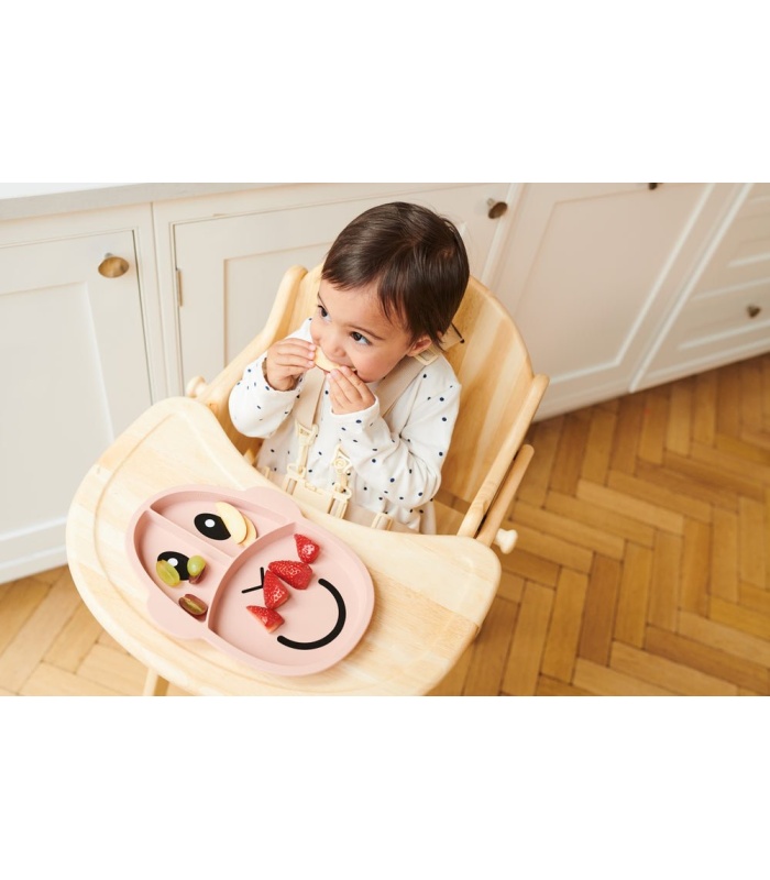 Monkey Section Plate - Image 2