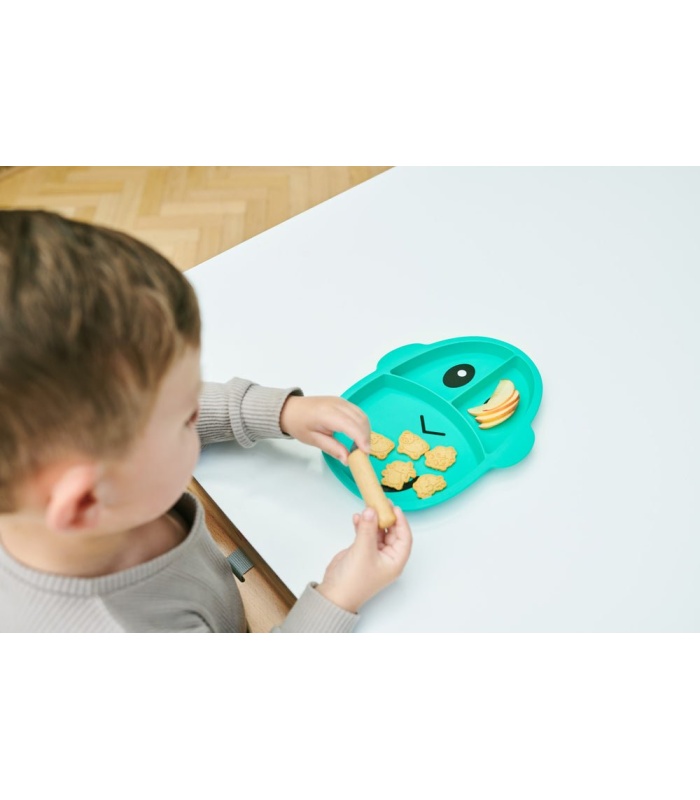 Monkey Section Plate - Image 5