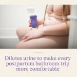 Lansinoh Post- Birth Wash Bottle - Image 4