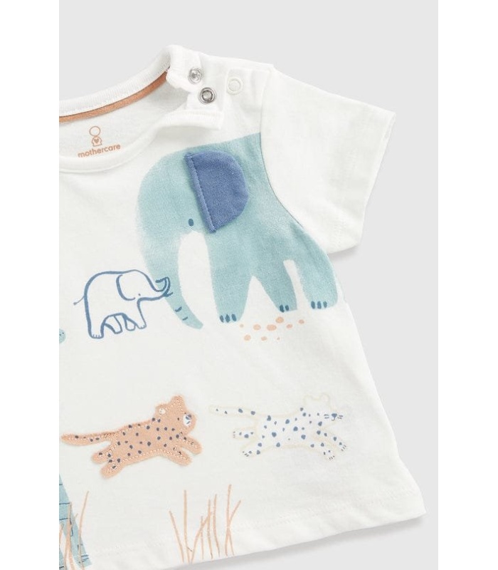 Boys Shorts & T-shirt - Image 2