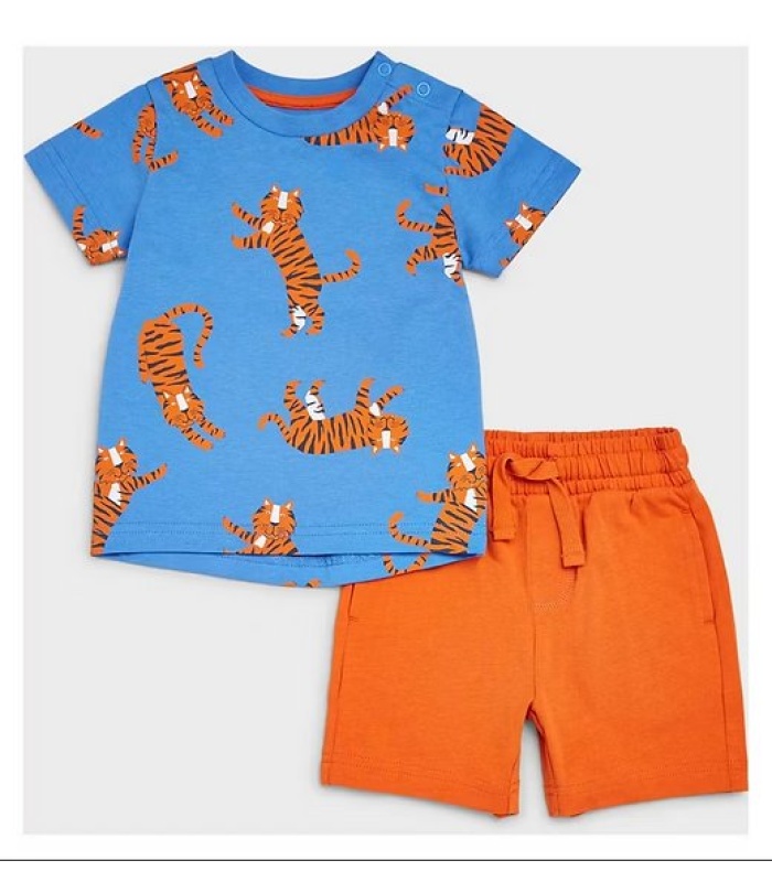 Boys Shorts and Short- Sleeved T-shirt