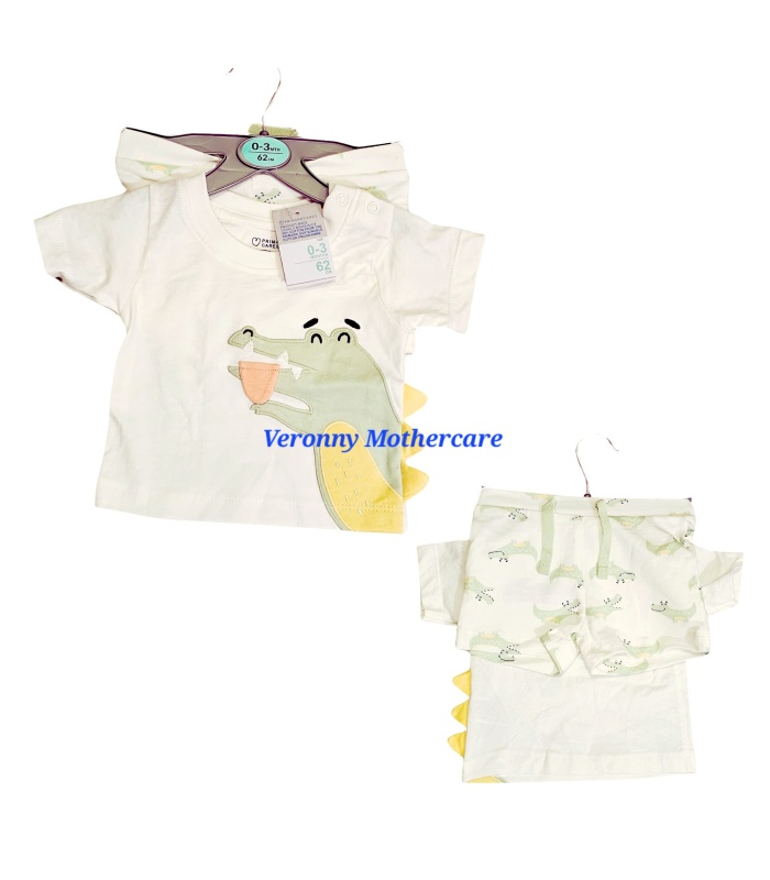 Baby Boy Shorts & Top Set