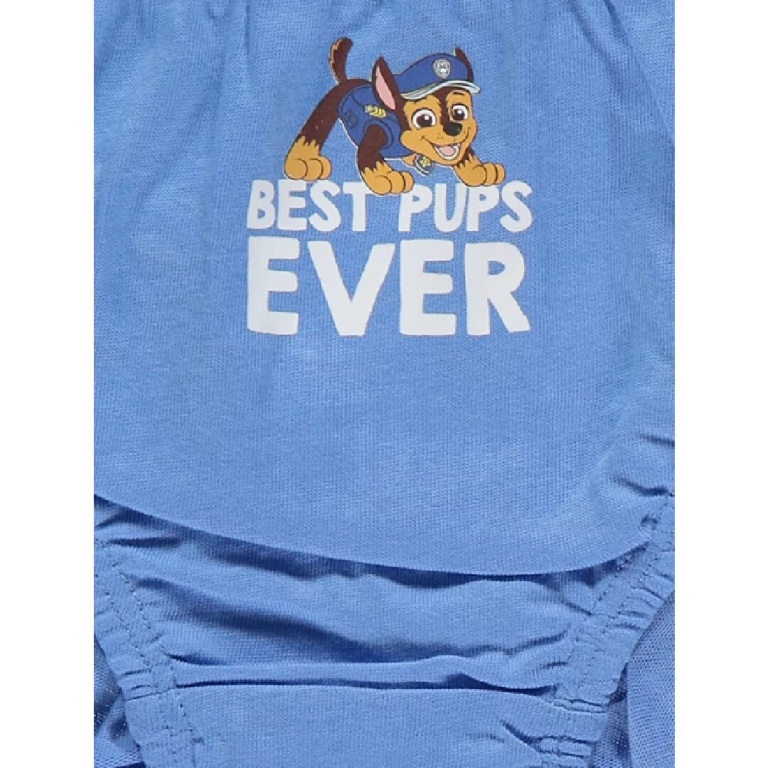 5pc Pawpatrol Boys Briefs - Image 5
