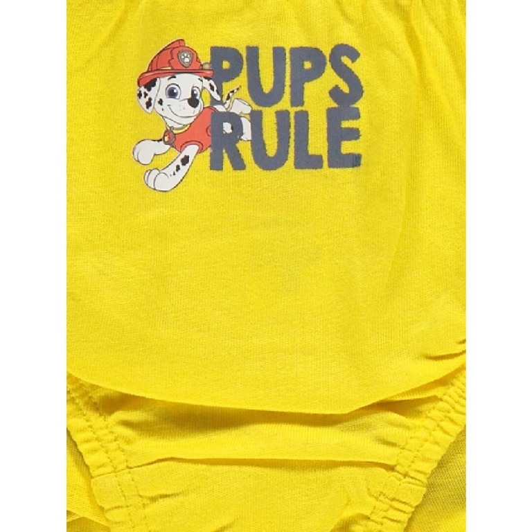 5pc Pawpatrol Boys Briefs - Image 4