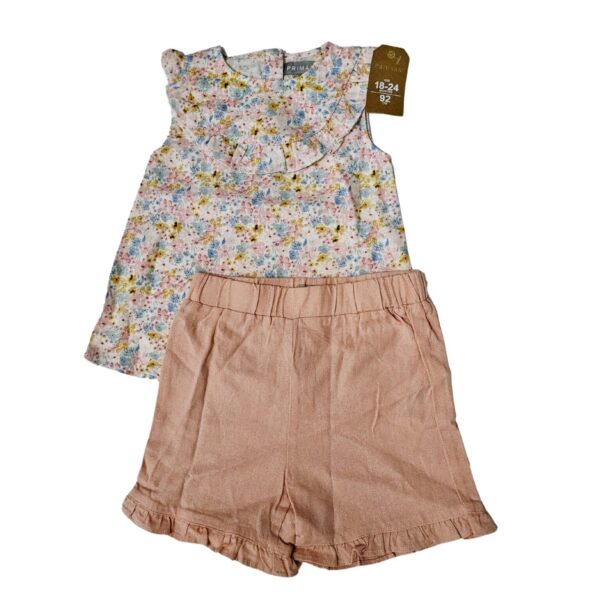Girls Blouse and Shorts