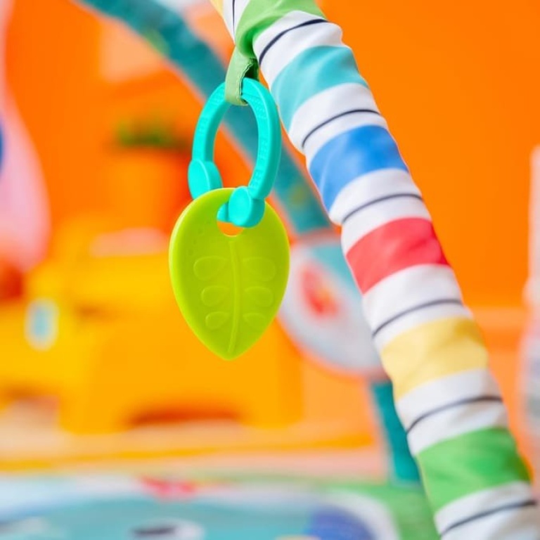 Bright Starts Wild Wiggles Baby Activity Gym - Image 8